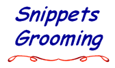 Professional Dog Groomers based in Glasgow